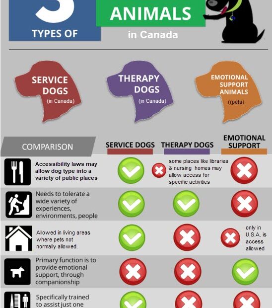 Service Dog Division – Canadian Association Of Professional Dog Trainers