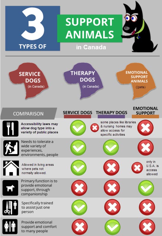 Service Dog Division – Canadian Association Of Professional Dog Trainers