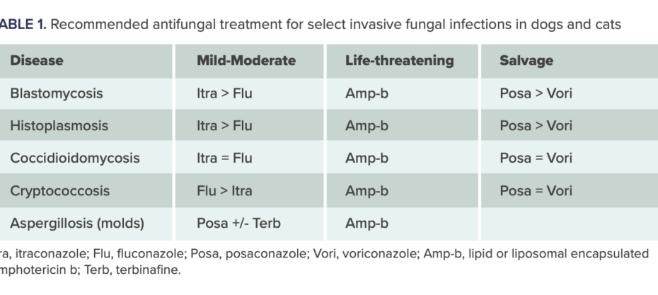 Which Antifungal Should I Use For My Veterinary Patients? | Vetgirl  Veterinary Continuing Education Blog