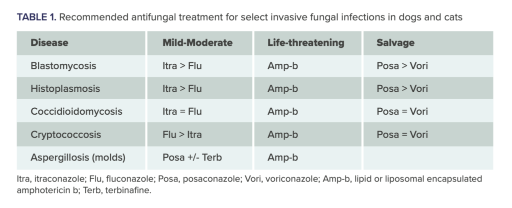 Which Antifungal Should I Use For My Veterinary Patients? | Vetgirl  Veterinary Continuing Education Blog