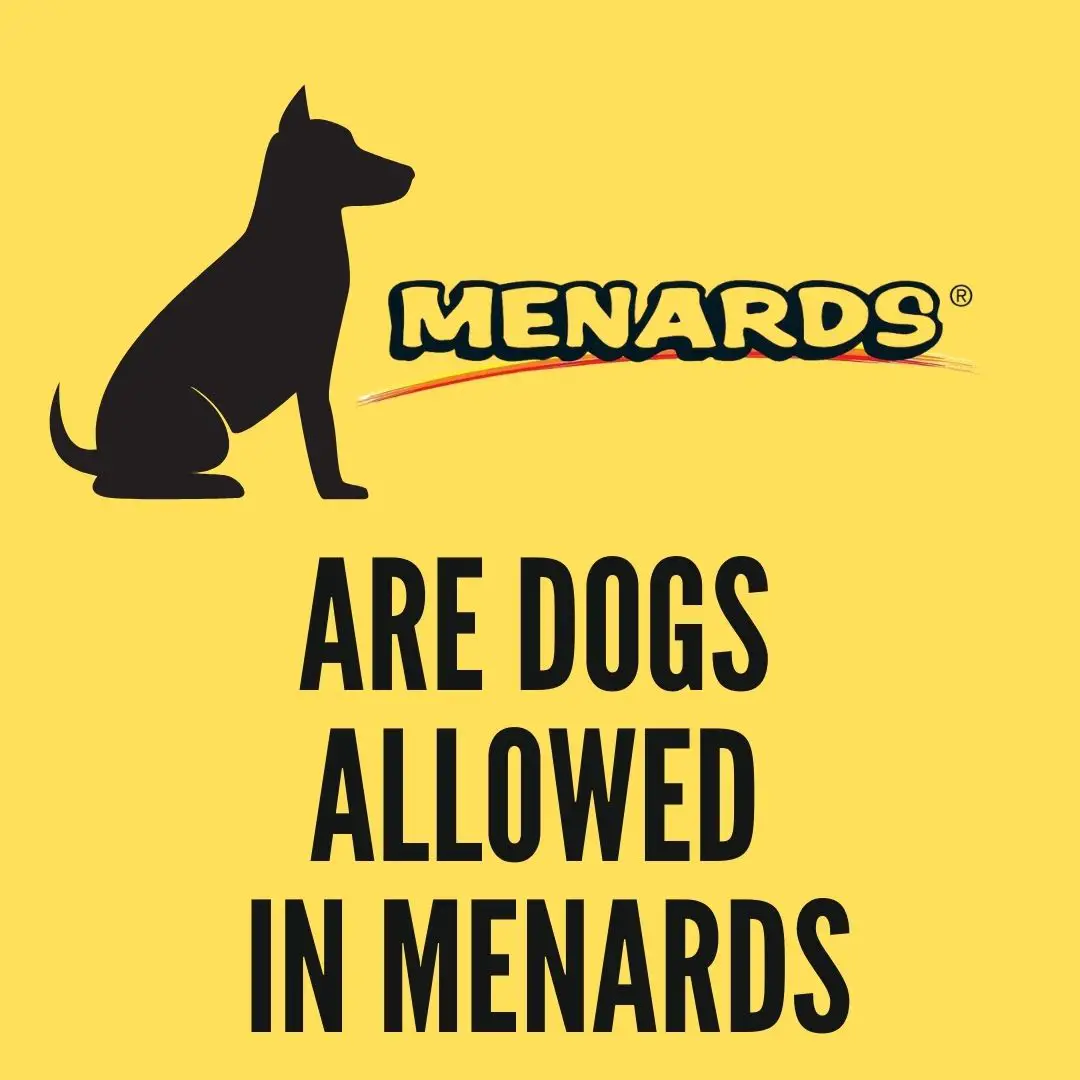 Are Dogs Allowed In Menards? Is Menards Pet-Friendly Store? - Oxford Pets