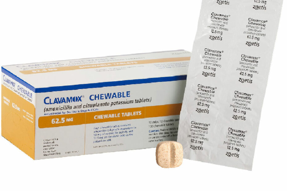 Clavamox For Dogs 62.5 Mg (100 Tablets) | Free Shipping* | Entirelypets Rx