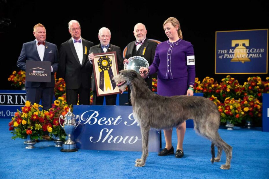 National Dog Show Winners Through The Years