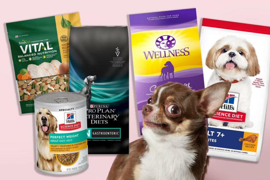 The 13 Best Dog Food Brands Of 2022, Per Veterinarians
