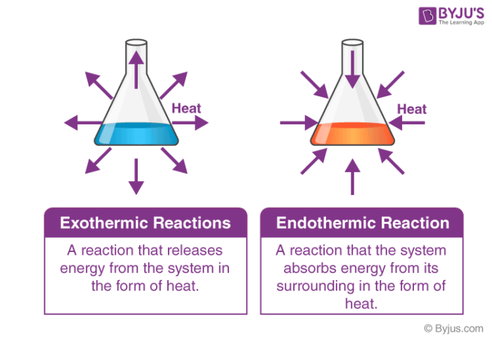 Difference Between Endothermic And Exothermic Reactions | Chemistry