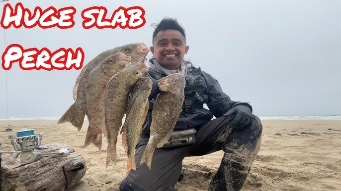 Surf Fishing Cardiff State Beach - Youtube