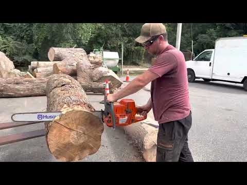 Curly Maple Log Educational Video