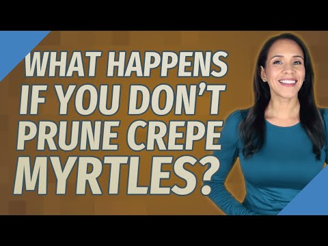 What happens if you don't prune crepe myrtles?