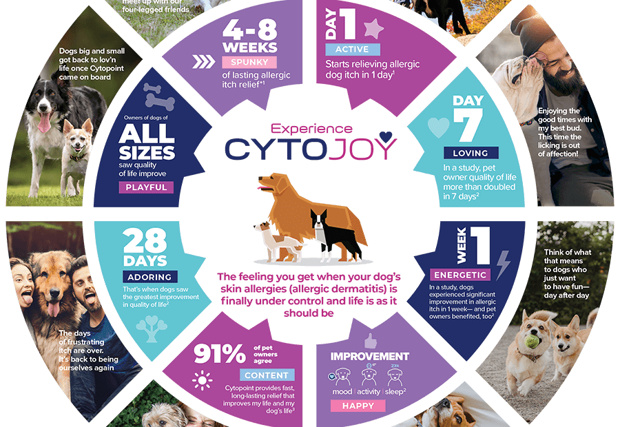 Cytopoint | Zoetis Petcare