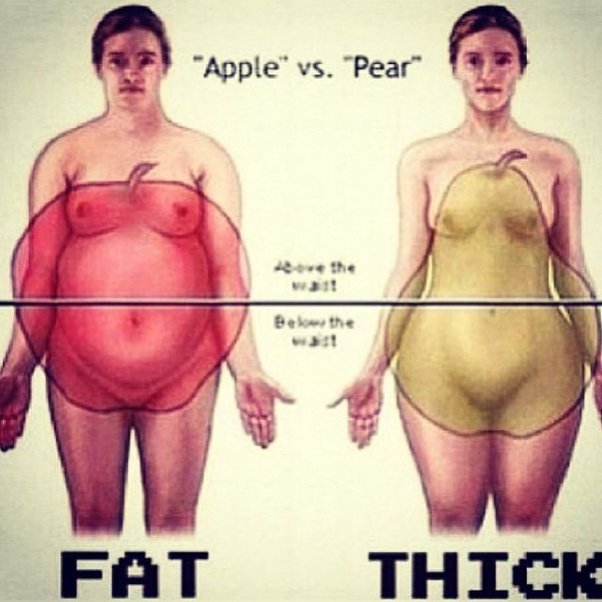 What Is The Difference Between Fat And Thick? - Quora