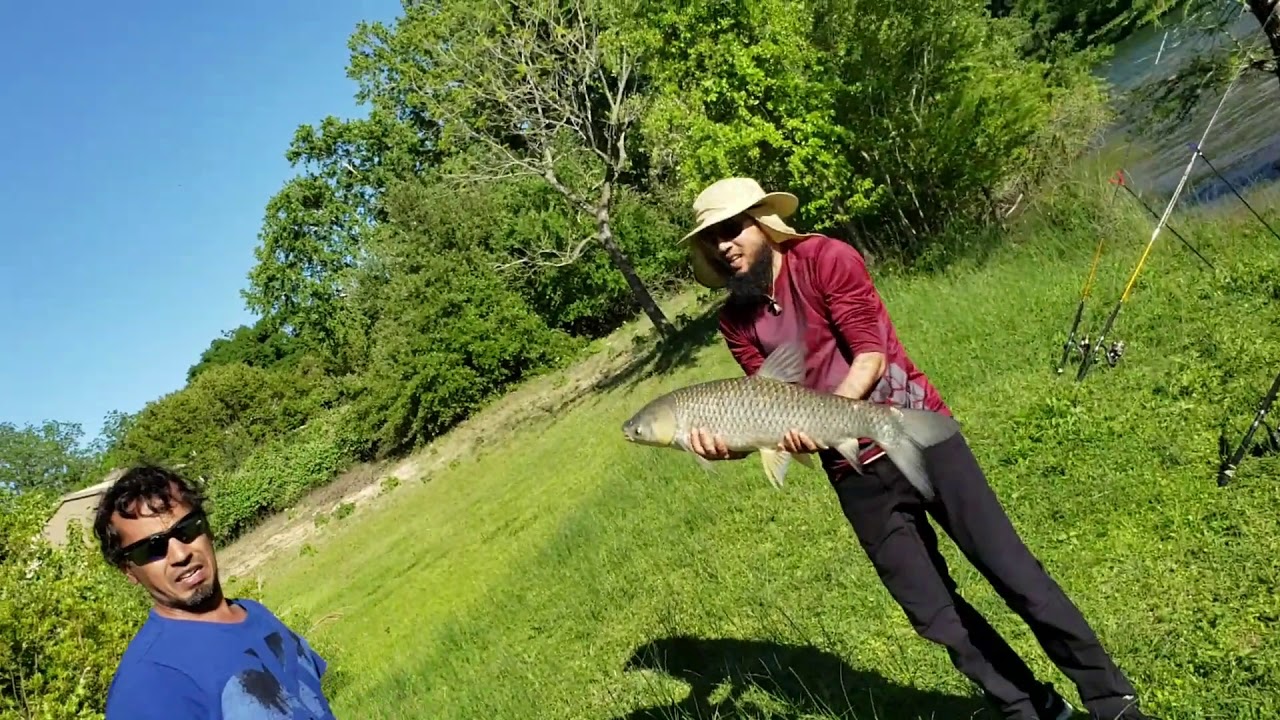 Carp Fishing Ii 🎣🐟 Emma Long Park Austin - Youtube