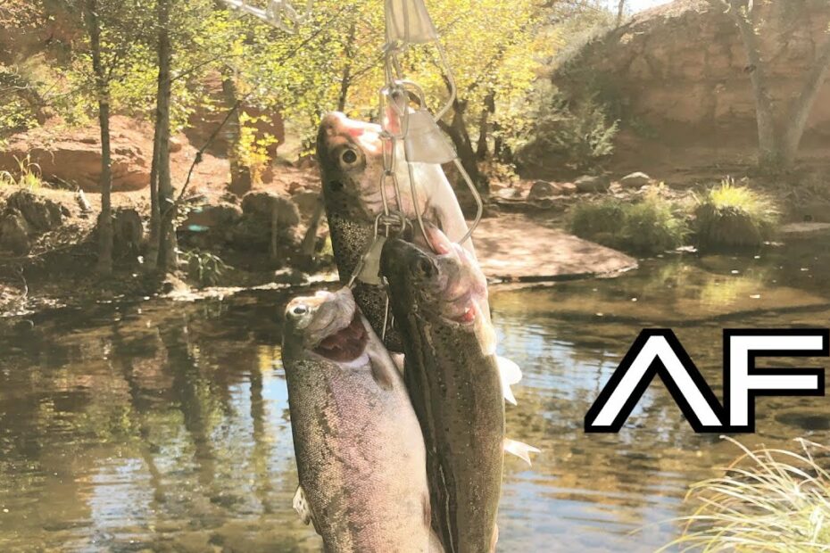 Arizona Fishing At Wet Beaver Creek!!! - Youtube