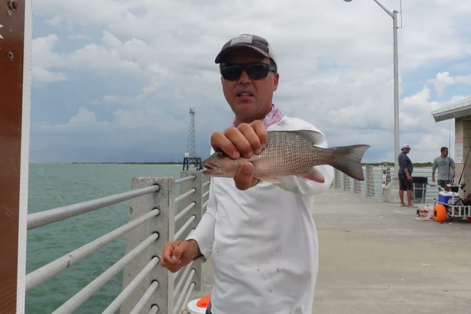 Catching Fish Every Cast At Fort Desoto Pier - Youtube