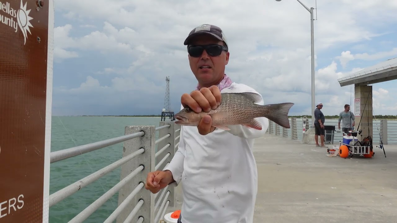 Catching Fish Every Cast At Fort Desoto Pier - Youtube