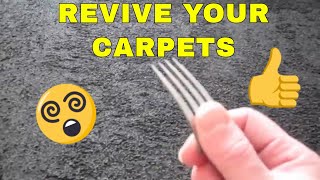 Diy How To Restore Carpet Pile (The Yorkshire Digger) - Youtube