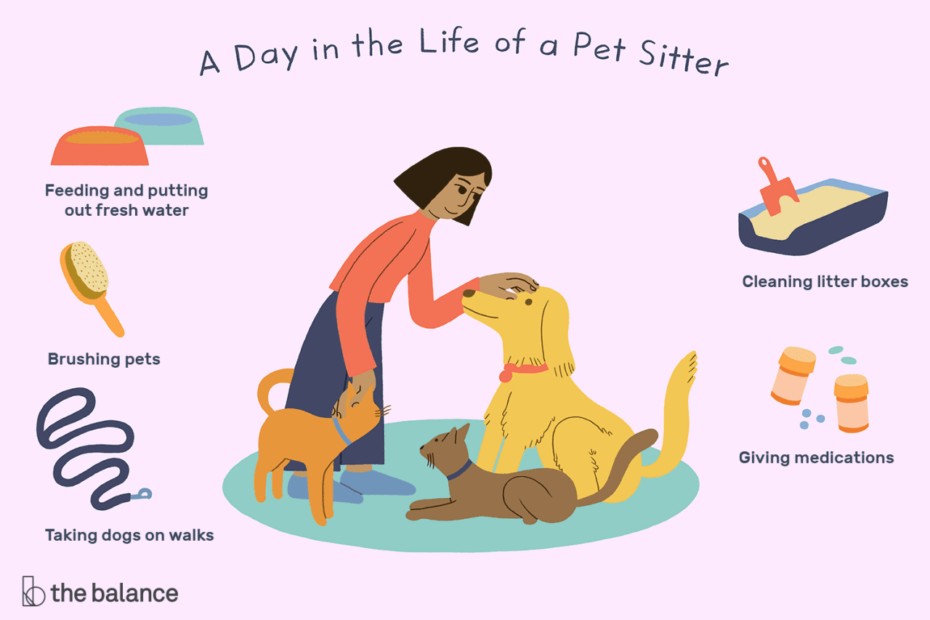 Pet Sitter Job Description: Salary, Skills, & More