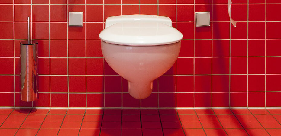 17 People Who Died On The Toilet | Thought Catalog