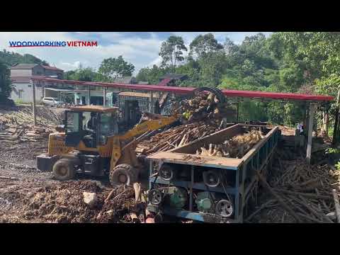 How are wood chips produced in Vietnam