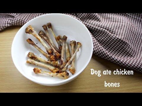 Can Dogs Eat Chicken Bones? - By I Love Veterinary