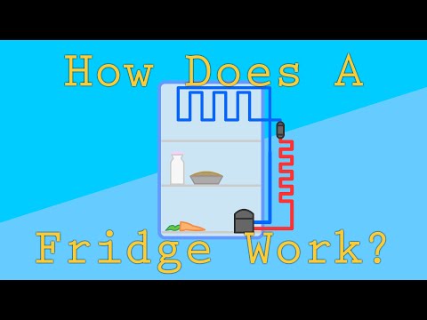 How Do Refrigerators Work? | An Intro to Gas Laws and Thermodynamics