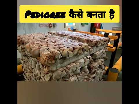 pedigree(Dog food) कैसे बनता है |