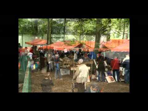 Mgr. Bekkersgroep Vlooienmarkt 2010 Son